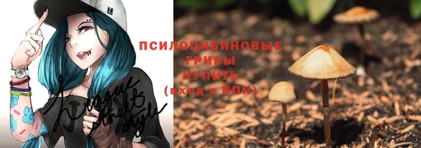 стаф Новозыбков