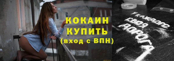 стаф Новозыбков