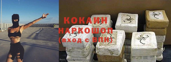 стаф Новозыбков