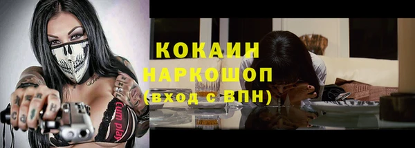 стаф Новозыбков