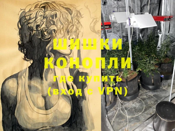 стаф Новозыбков