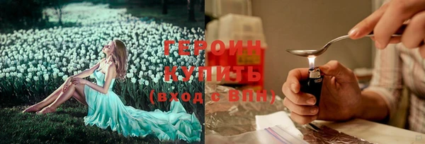 стаф Новозыбков