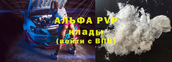 PSILOCYBIN Апатиты