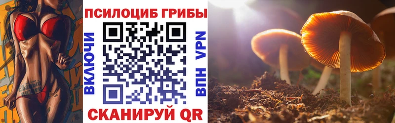 Галлюциногенные грибы GOLDEN TEACHER  магазин продажи   Тбилисская 